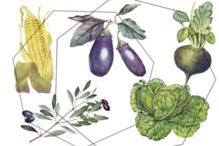 Botanical Retro Vegetables Vintage Set for Creative Designers