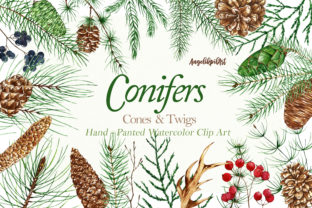 Conifers: The Beauty of Watercolor Art in Modern Design