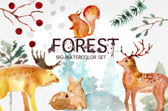 Winter Forest Watercolor Graphic Set